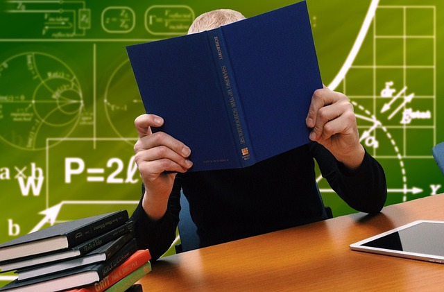 O level business studies